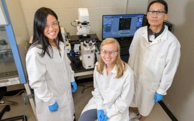 Teaming up to Fight a Deadly Disease