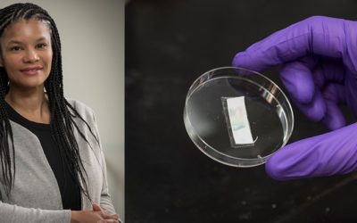Bio-inspired Materials