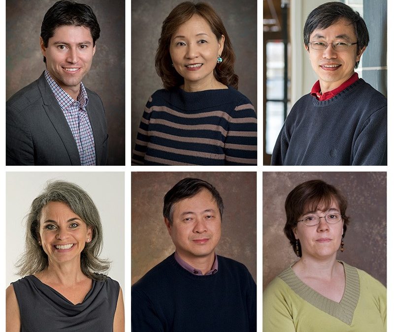 Rodrigo Vargas, Cathy Wu and Yushan Yan, and from bottom left, Wendy Smith, Hongzhan Huang and Cecilia Arighi