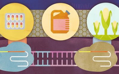 New Twist on CRISPR Technology