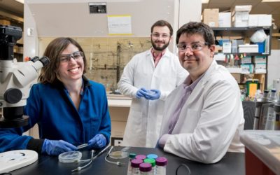 UD’s Jason Gleghorn receives NSF CAREER award