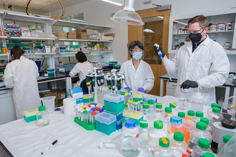 University of Delaware Materials scientist Xinqiao Jia (center) is spearheading solutions to repair damaged vocal folds and salivary glands through tissue engineering. The work includes contributions from UD researchers, graduate students and post-doctoral researchers, among other collaborators. Pictured left to right are Xiaoyu Zou and Jiyeon Song, Xinqiao Jia and Eric Fowler.