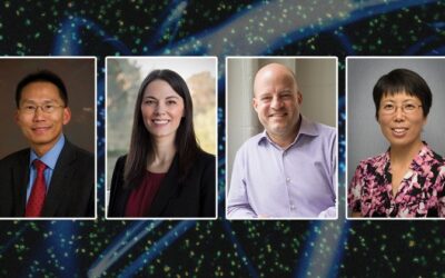 Four Engineering Professors Honored