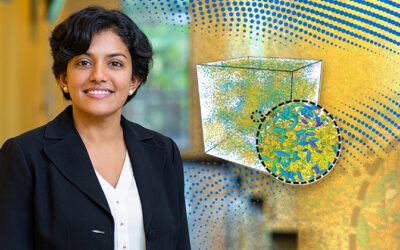 Insights for future innovations