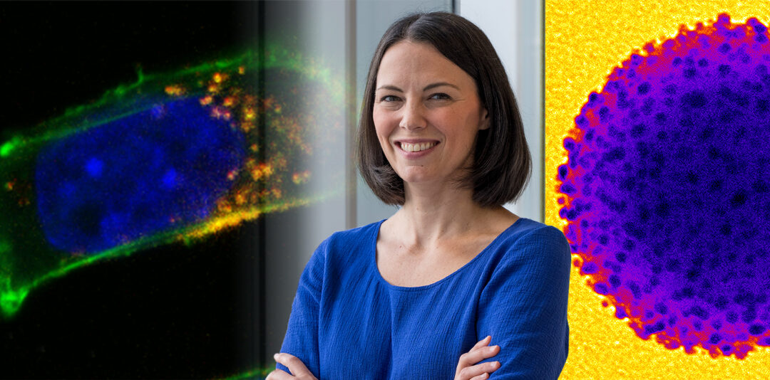 Novel Nanomedicines