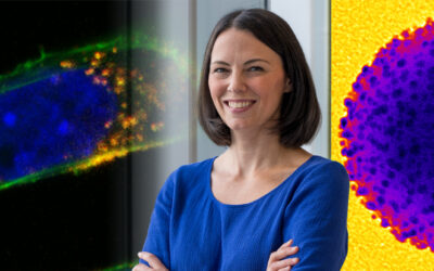 Novel Nanomedicines