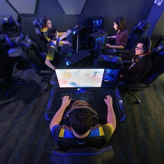 A student climbing a rock wall at the Bob Carpenter Center