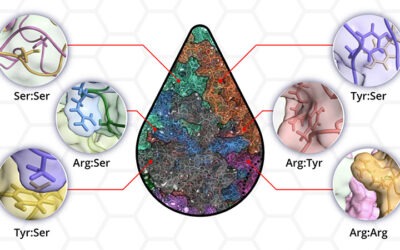 A new molecular understanding of protein phase separation