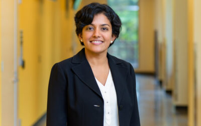 UD engineer named Fellow of the Royal Society of Chemistry