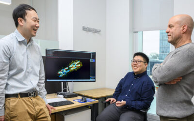 Designing protein building blocks for advanced materials