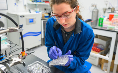 Spark! Symposium showcases four big questions driving graduate research at UD