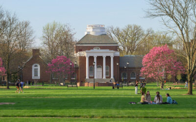 Top marks for UD graduate programs