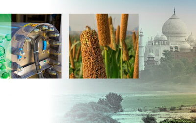 Advancing the global green hydrogen economy